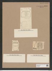 Diatomeae indet. Zeichnungen Sammlung Grunow Nr. 9154 (NHMW-BOT-W0378932)
